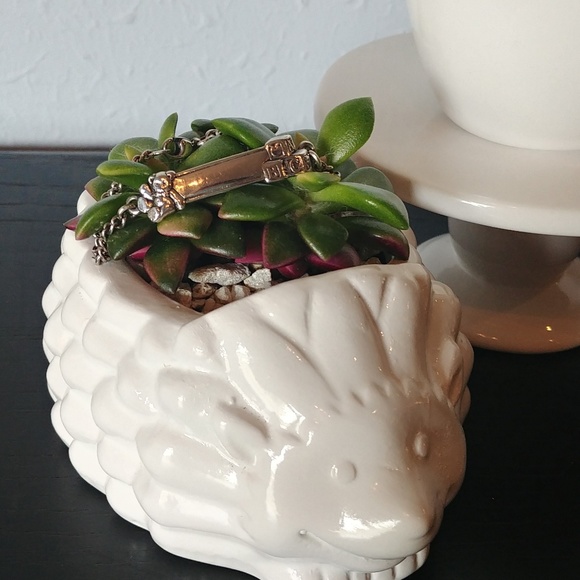 *** SOLD *** SOLD *** SOLD *** SOLD *** SOLD *** - Picture 4 of 8